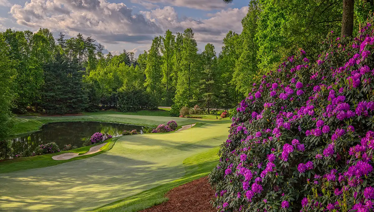 champion hills golf course with azaleas